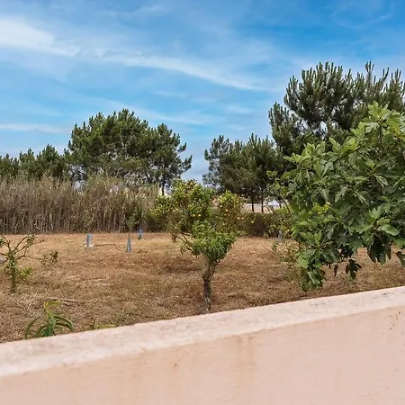 Casa Do Avô Zé - Silveira - Hébergement de vacances Santa Cruz (Oeste)