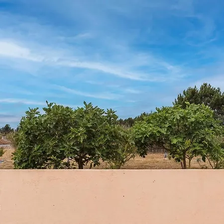 Hébergement de vacances Casa Do Avô Zé - Silveira - *